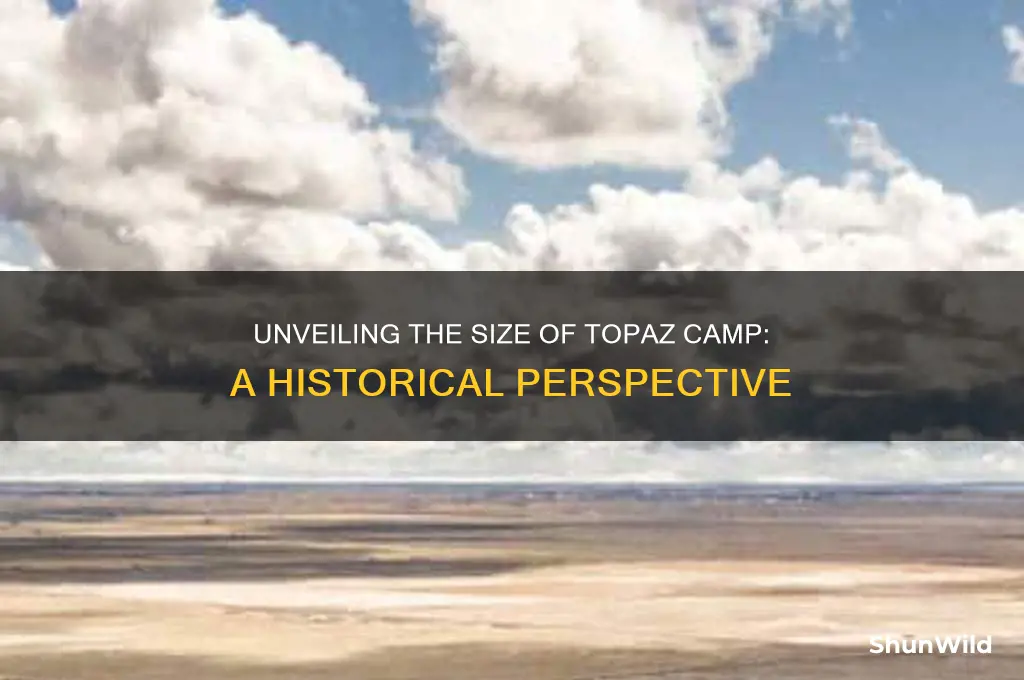 how large was topaz camp