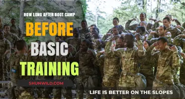 From Boot Camp to Basic Training: Understanding the Transition Timeline