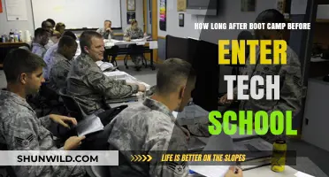 From Boot Camp to Tech School: Timing Your Next Military Career Step