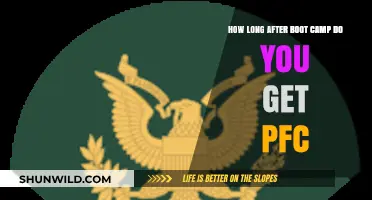 From Boot Camp to PFC: Understanding the Promotion Timeline