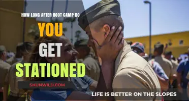 Post-Boot Camp Stationing Timeline: What to Expect After Training