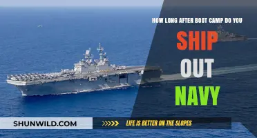 Navy Deployment Timeline: Post-Boot Camp Shipping Details Explained