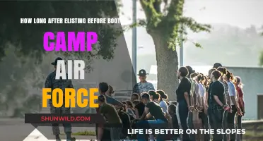 Air Force Boot Camp Timeline: What to Expect After Enlisting