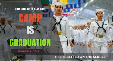 Navy Boot Camp Graduation Timeline: What to Expect After Training