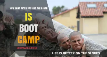 ASVAB to Boot Camp: Understanding the Timeline After Passing the Test