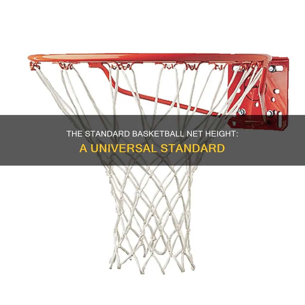 how long ar basketball nets