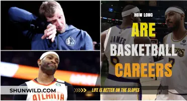 The Short-Lived Glory of Basketball Careers