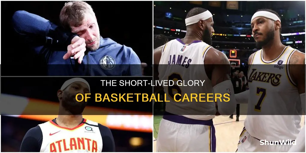 how long are basketball careers