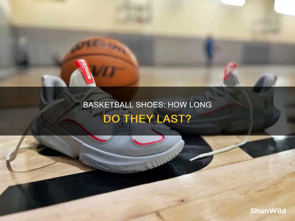 how long are basketball shoes good for