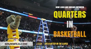 Understanding Basketball Game Breaks: Quarter Intermissions Explained