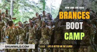 Military Boot Camp Durations: How Long Each Branch's Training Lasts