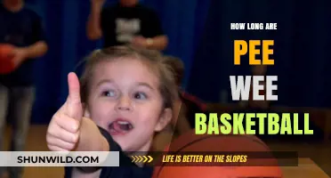 Pee Wee Basketball: The Fundamentals of the Game for Young Players
