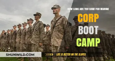 Marine Corps Boot Camp Duration: How Long Are Recruits Gone?