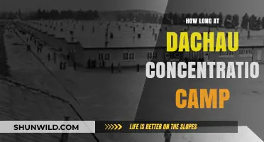 Dachau Concentration Camp: Duration of Imprisonment and Survival Stories