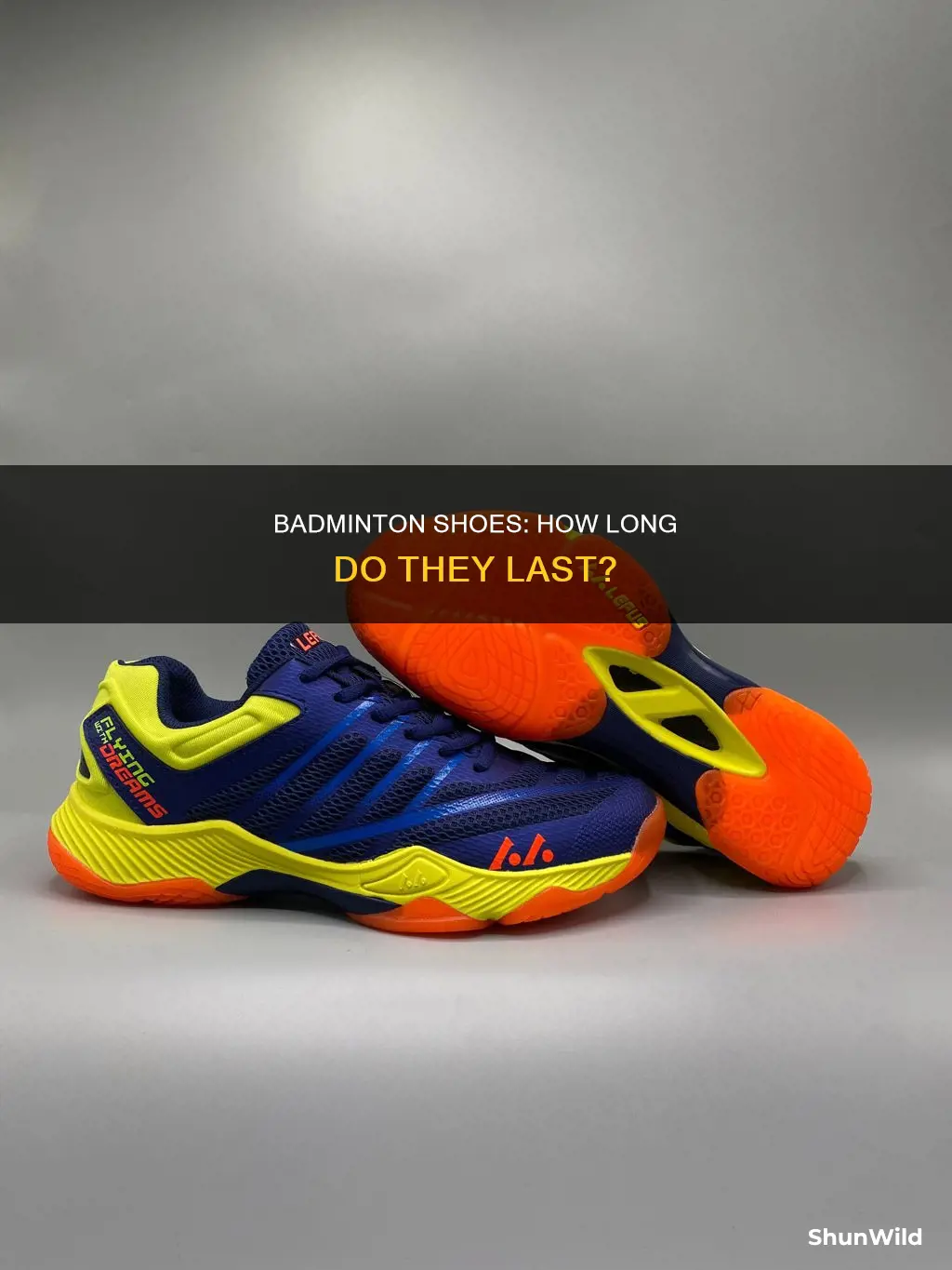 how long badminton shoes last