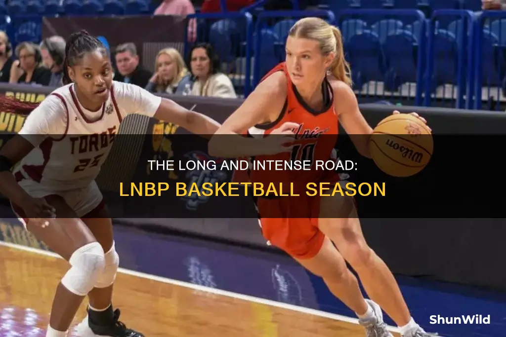how long basketball season lnbp