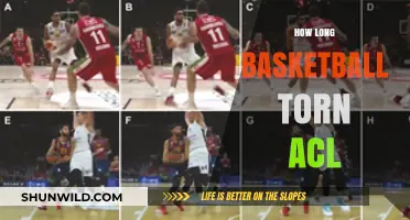 Basketball ACL Tears: Recovery and Return Timeline