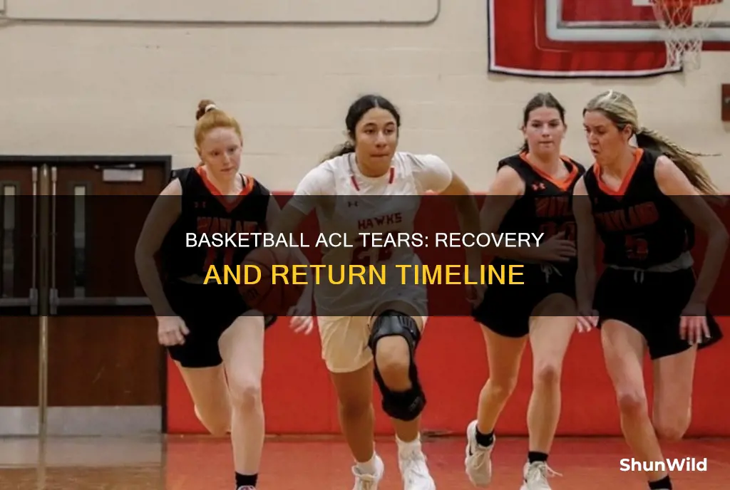 how long basketball torn acl