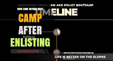 Enlisting to Boot Camp: Understanding the Timeline After Signing Up