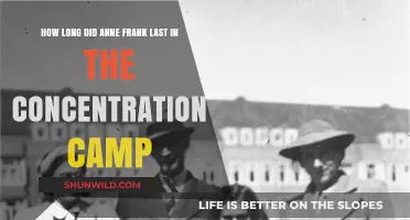 Anne Frank's Tragic Fate: Survival Timeline in Concentration Camps