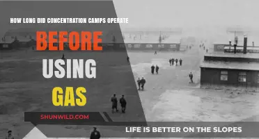 The Evolution of Concentration Camps: From Incarceration to Gas Chambers