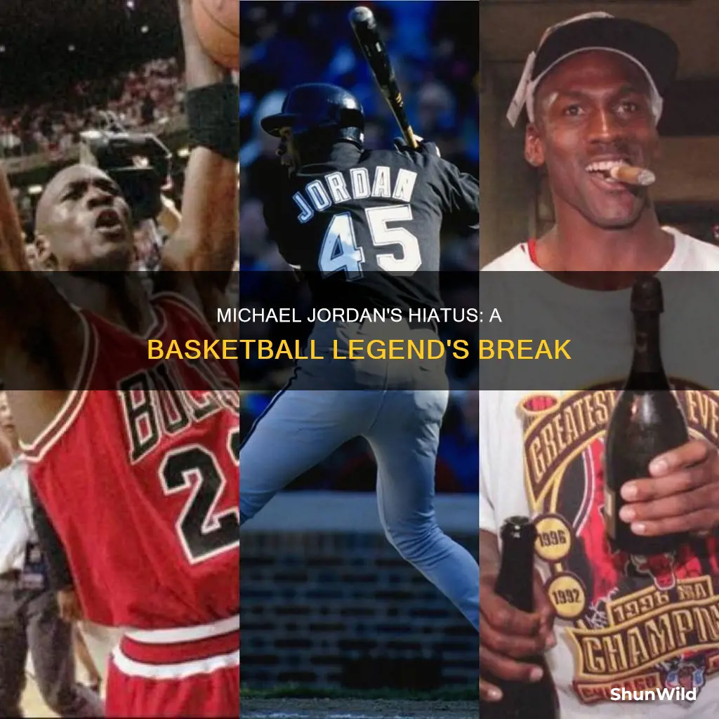how long did jordan quit basketball