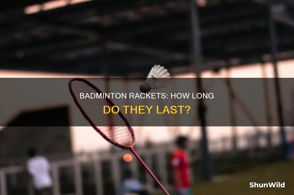 how long do badminton rackets last