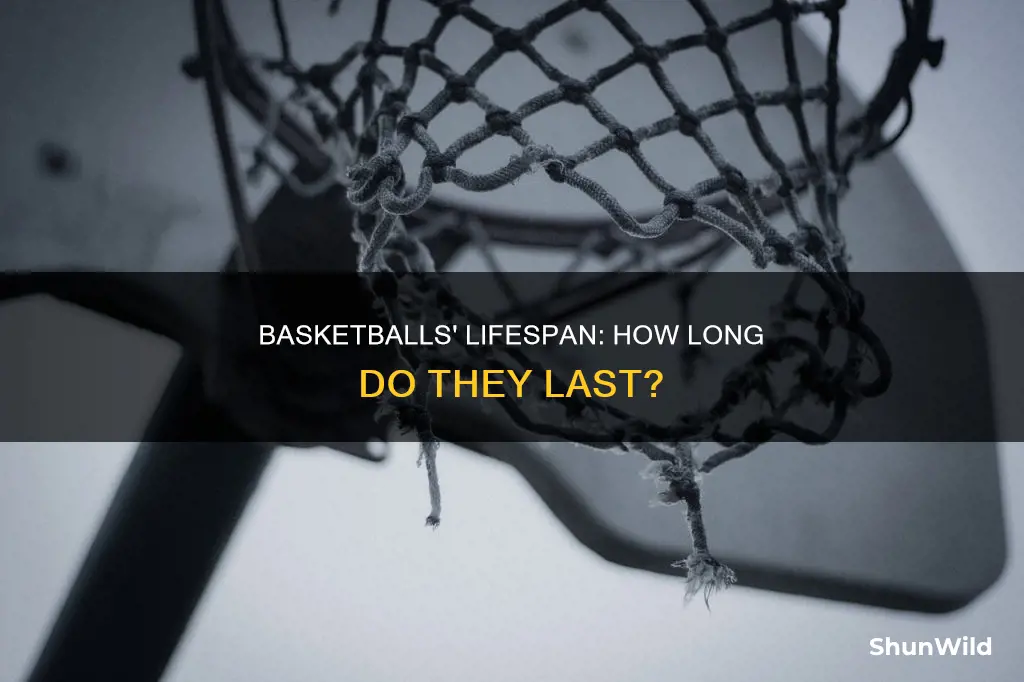 how long do basketball balls last