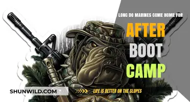 Marines' First Leave: Duration and Expectations Post-Boot Camp