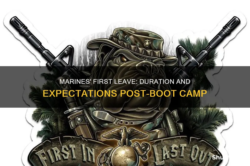 how long do marines come home for after boot camp