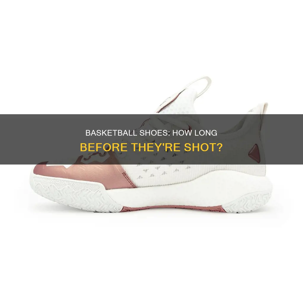 how long does basketball shoes last