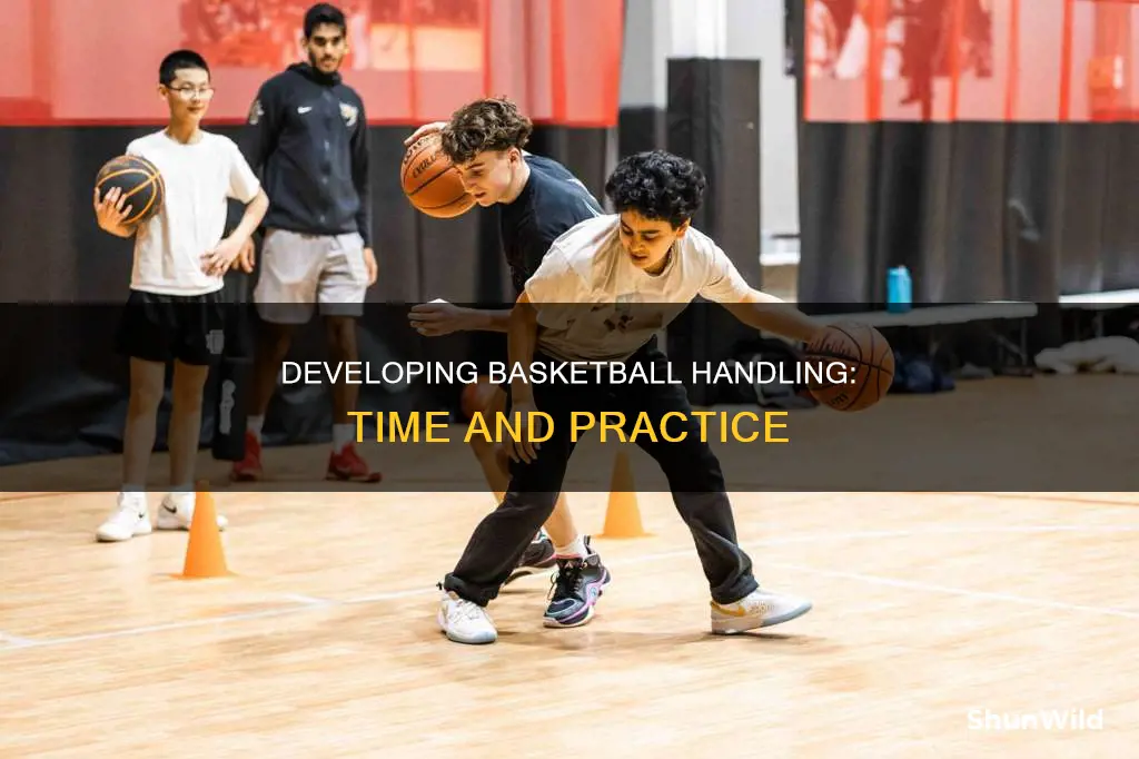 how long does it take to improve basketball handles