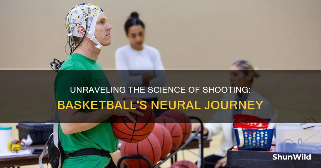 how long does it take to shot a basketball neuroscience