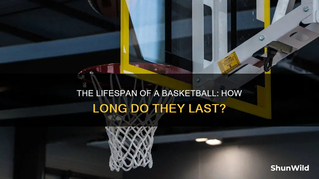 how long does the average basketball last