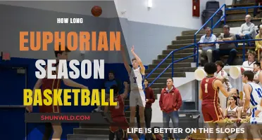 Basketball Euphoria: The Long-Awaited Season