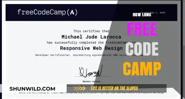 How Long Does It Take to Complete Free Code Camp?