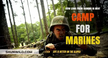 From Signing to Boot Camp: Marine Corps Timeline Explained