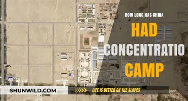 China's Concentration Camps: A Timeline of Human Rights Violations