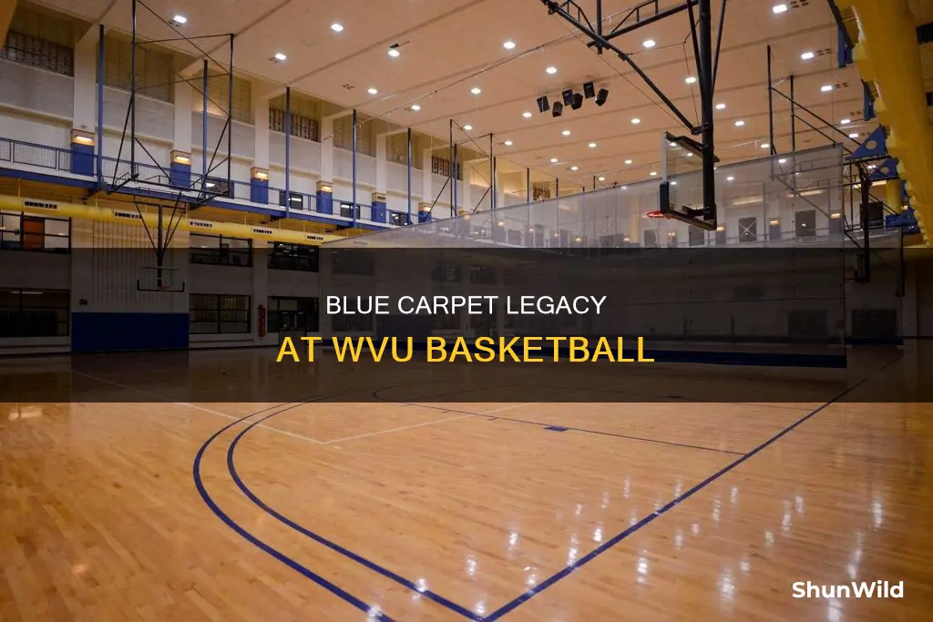 how long has wvu basketball had the blue carpet