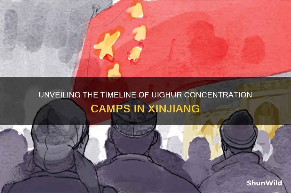 how long have the uighur concentration camps been around
