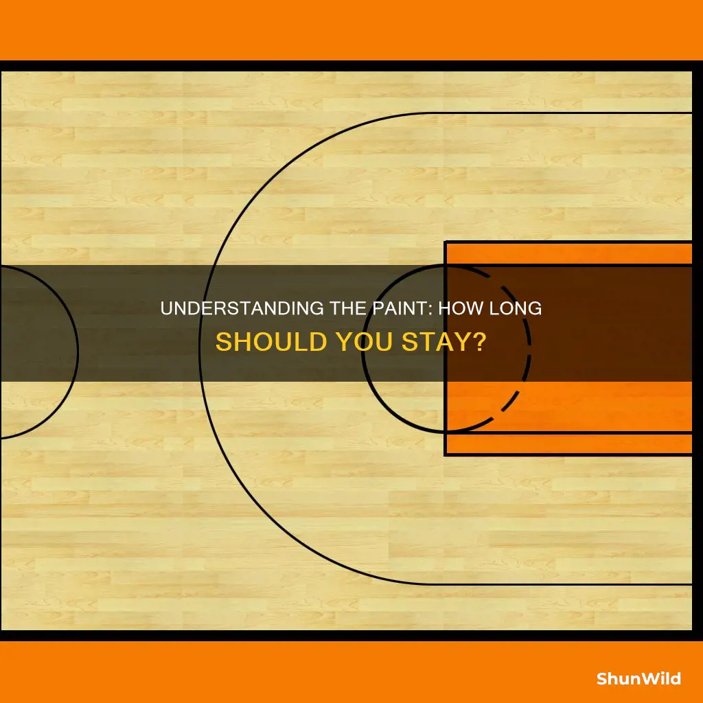 how long in the paint basketball