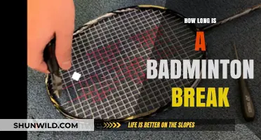 Badminton Breaks: How Long is the Downtime?