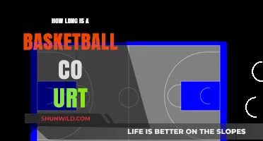The Basketball Court: Understanding Its Standard Dimensions