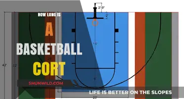 The Basketball Court: Understanding Its Standard Dimensions