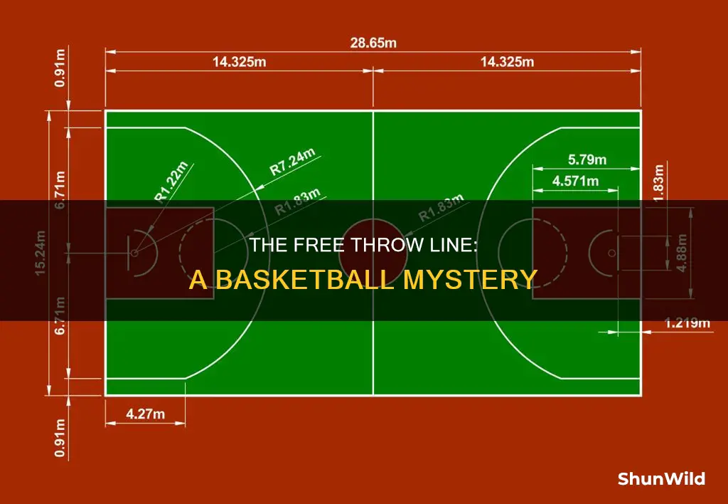 how long is a basketball free throw line