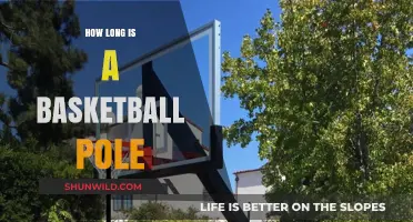 The Standard Basketball Pole Height for Your Court