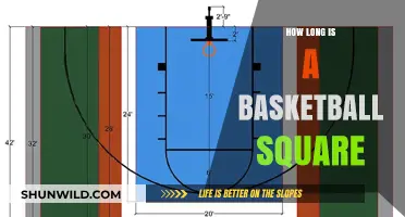 The Basketball Square: Dimensions and Layout