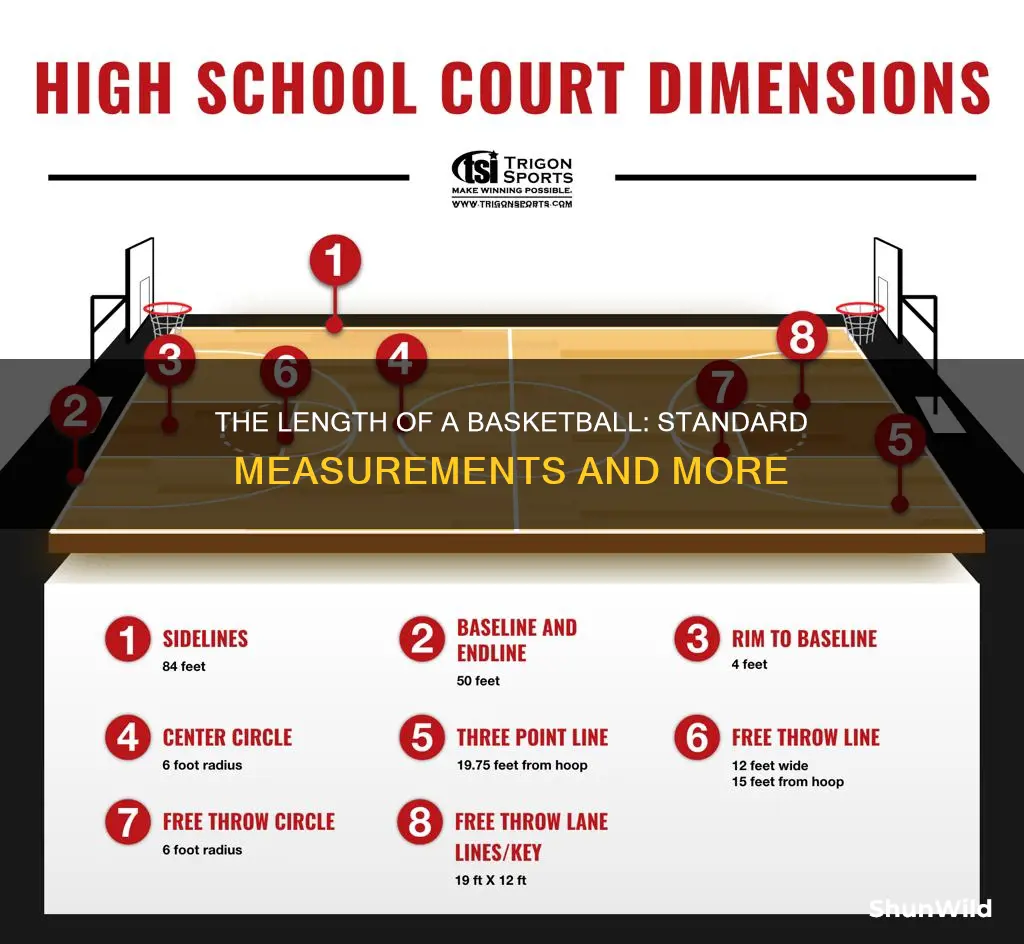 how long is a basketball