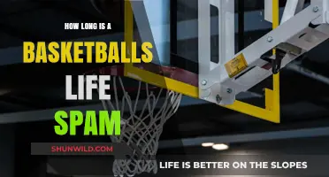Basketballs: When Do They Need Replacing?