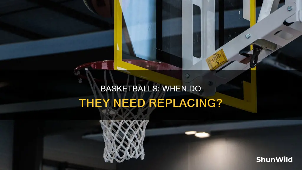 how long is a basketballs life spam